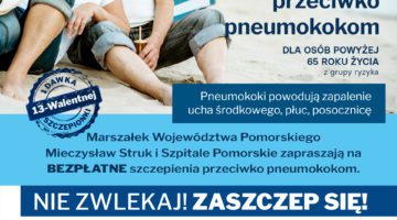 web_pion