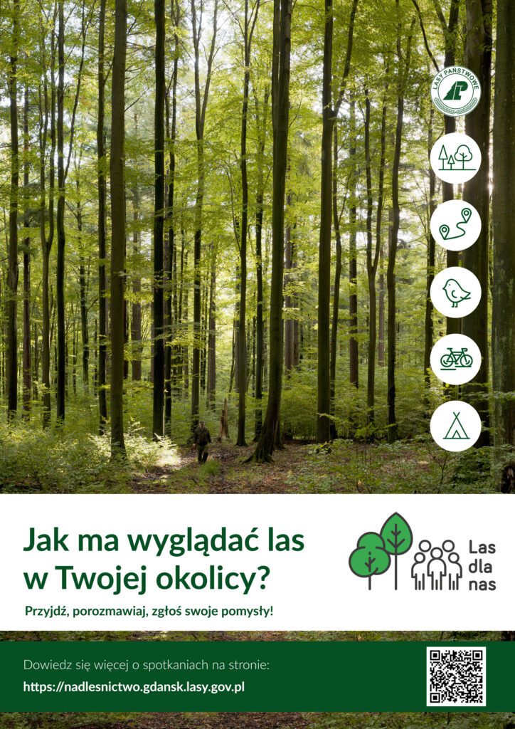 lasy-plakat-final (1)