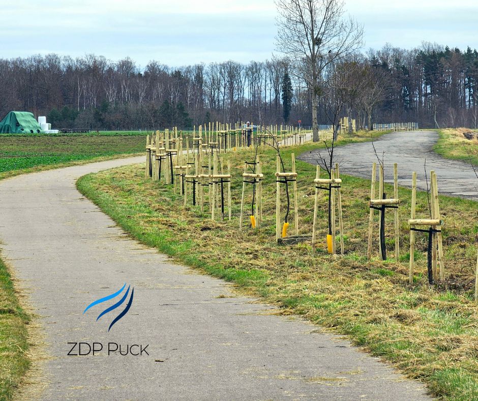 605536374_122153574422652761_4567426941582527692_n