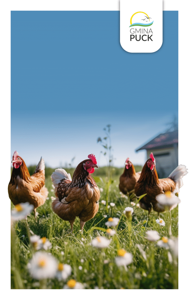 baner-www—pomur-ptactwa