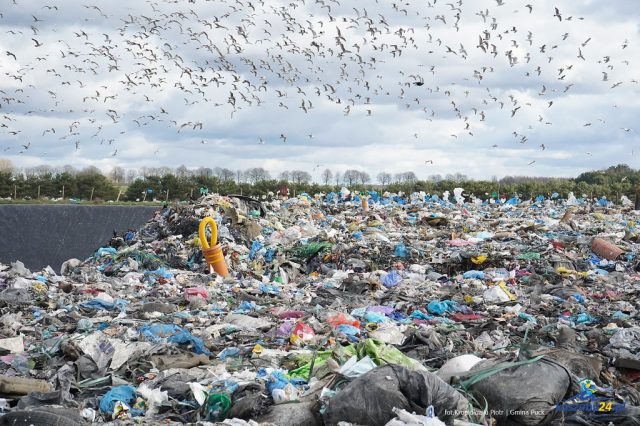 49591932323_16b24ddbd1_b