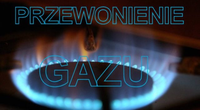 7751_gaz1