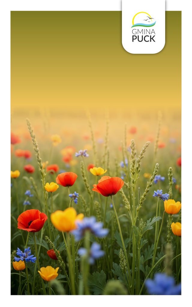 baner-www---Dzień-Sołtysa