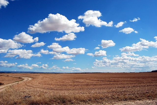 field-g0b3c4870e_1280