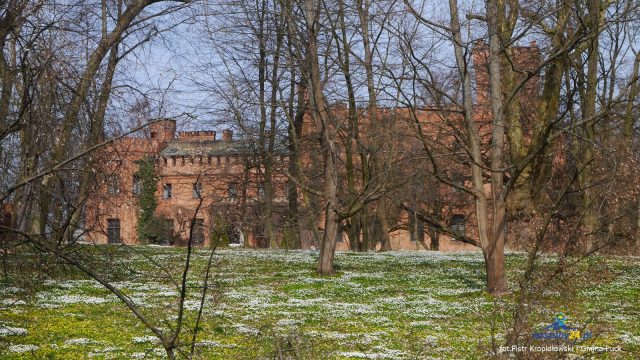 p1130925_28228541388_o