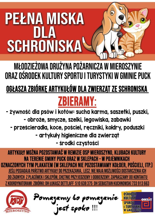 pelna-miska-dla-schroniska