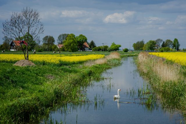 fot. Mateusz Ochocki