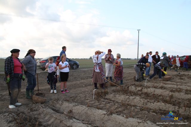 wykopki-w-gminie-puck-celbowo-20180906-61_44467519872_o